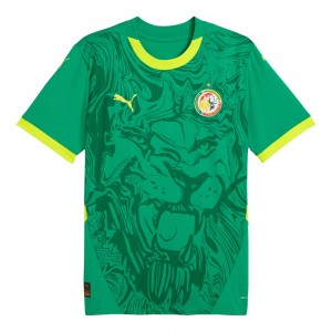 Senegal 2025 Away Shirt