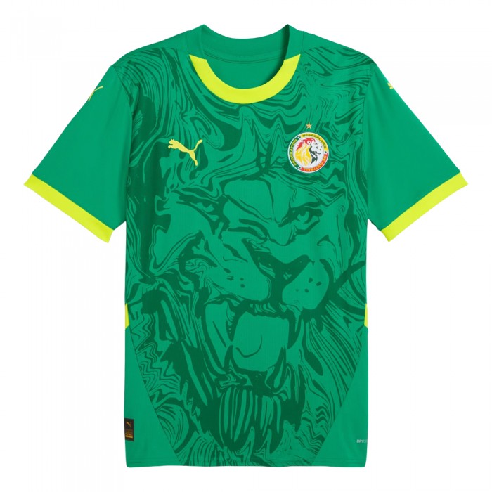 Senegal 2025 Away Shirt