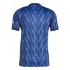 Arsenal 25/26 Away Shirt 