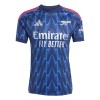 Arsenal 25/26 Away Shirt Havartz 29 - Singapore 2025 Tour Version