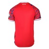 Ipswich Town 25/26 Away Shirt (TM12729-073, Jerseys / Shirts, Umbro) by www.protechkitzone.com Ipswich Town 25/26 Away Shirt