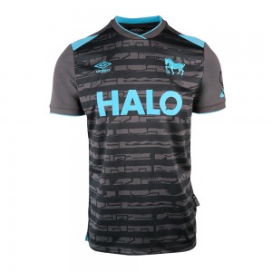 Ipswich Town 25/26 Third Shirt