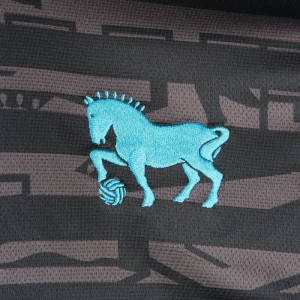 Ipswich Town 25/26 Third Shirt