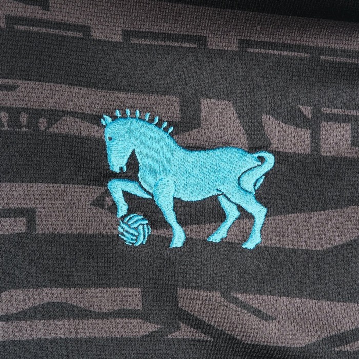 Ipswich Town 25/26 Third Shirt