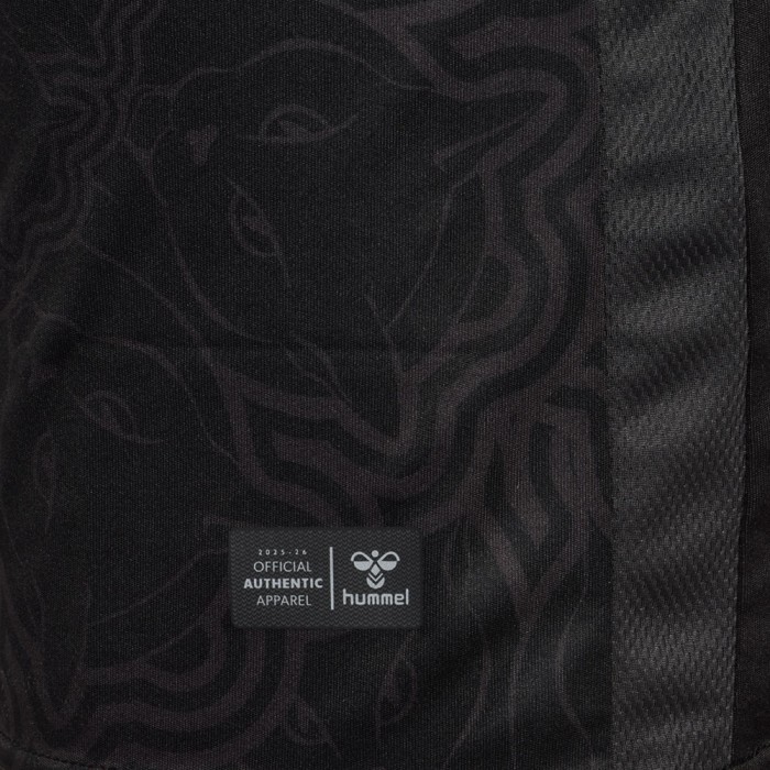 Sunderland 25/26 Third Shirt