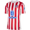 Atletico Madrid 25/26 Home Shirt (HJ4587-615, Atletico Madrid, Nike) by www.protechkitzone.com Atletico Madrid 25/26 Home Shirt