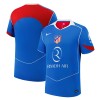 Atletico Madrid 25/26 Third Shirt (HM3200-407, Jerseys / Shirts, Nike) by www.protechkitzone.com Atletico Madrid 25/26 Third Shirt
