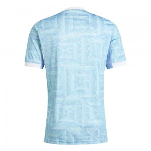 Juventus 25/26 Away Shirt