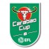 EFL Carabao Cup Previous Winners 8 Badge