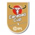EFL Carabao Cup Holders 1 Gold Badge