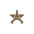 PSG Effel Tower Gold Star (Single)
