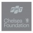 FPT + Chelsea Foundation - Field Silver