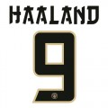 Haaland - 9