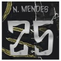 N. Mendes - 25