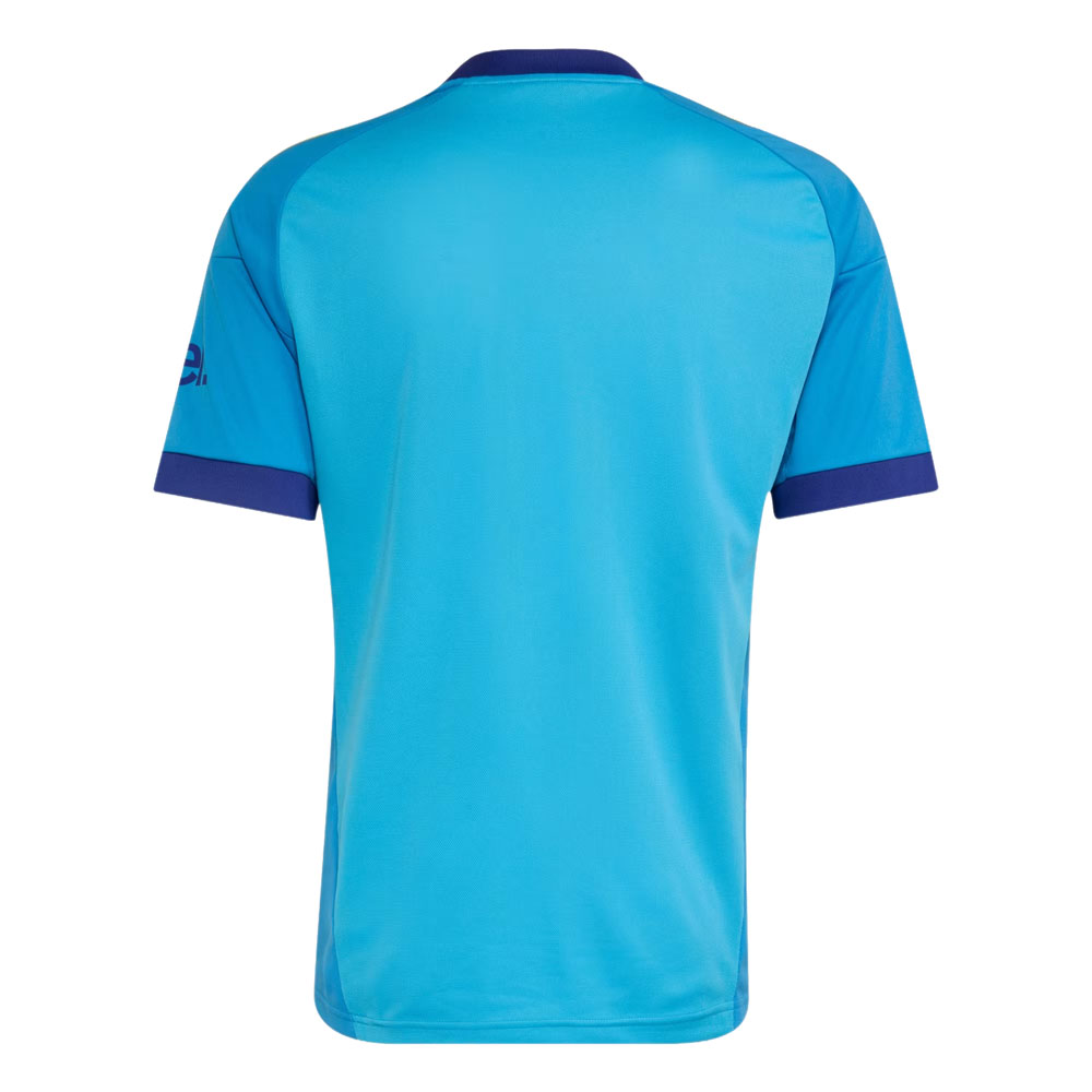 Arsenal 26/27 Away Goalkeeper Shirt 