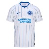 Brighton & Hove Albion F.C. 26/27 Away Shirt Brighton & Hove Albion F.C. 26/27 Away Shirt