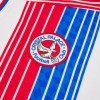Crystal Palace 26/27 Eagle Slash Shirt Crystal Palace 26/27 Eagle Slash Shirt