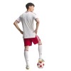[Player Edition] Liverpool FC 26/27 Away Shirt