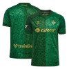 Real Betis 26/27 Away Shirt