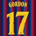 Gordon 17  (Home - Cup Version)