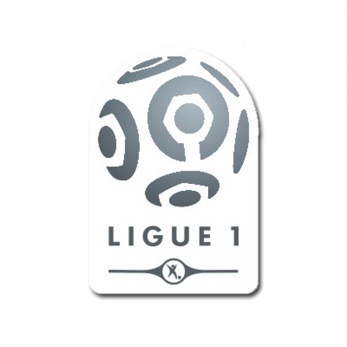 Official France Ligue 1 Sleeve Patch, Official France Leagues Badges, LIGUE1PATCH, 