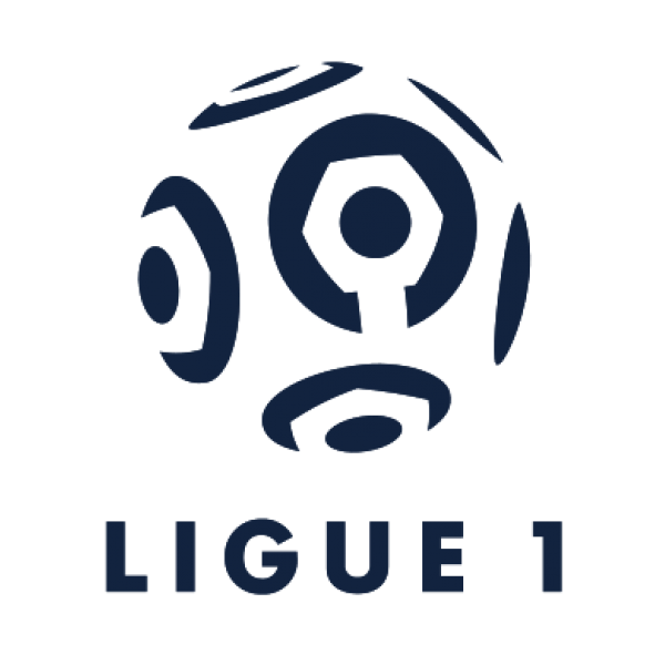 Official France Leagues Badges