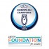UEFA Euro 2020 Champions (Sleeve) + Foundation Badges   + RM99.00 