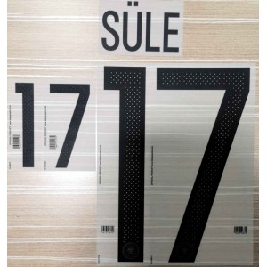 Germany Euro 2016 &. 2017 Confederations Cup Nameset 
